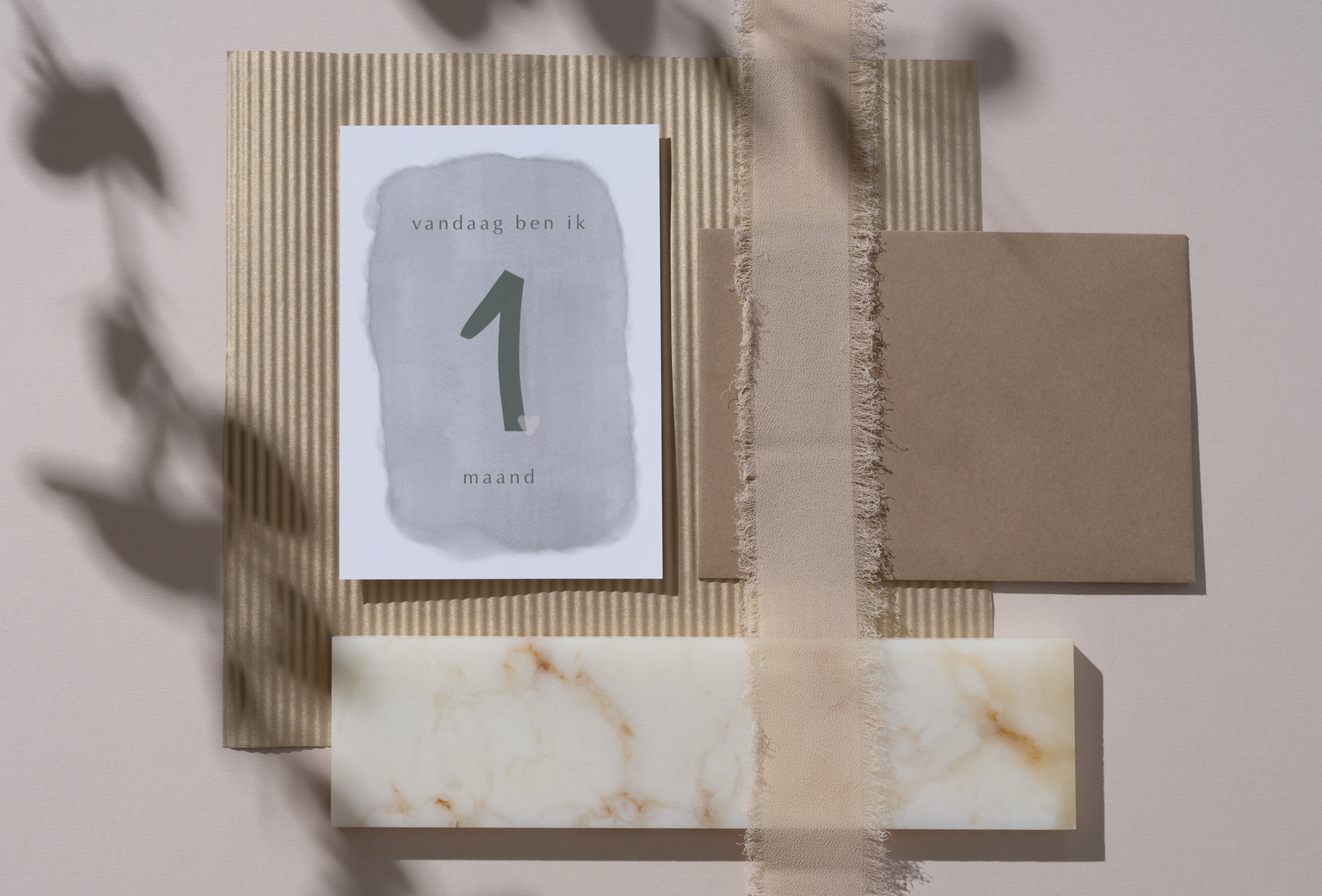 Milestone kaarten eerste jaar - Salie