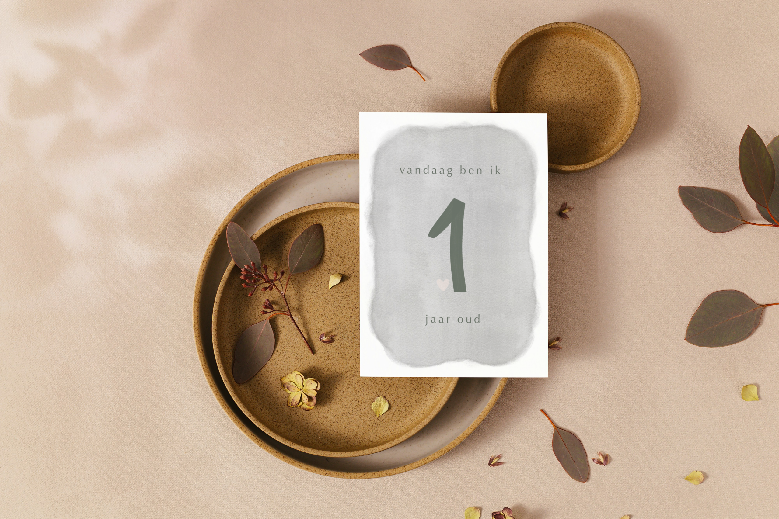 Milestone kaarten eerste jaar - Salie