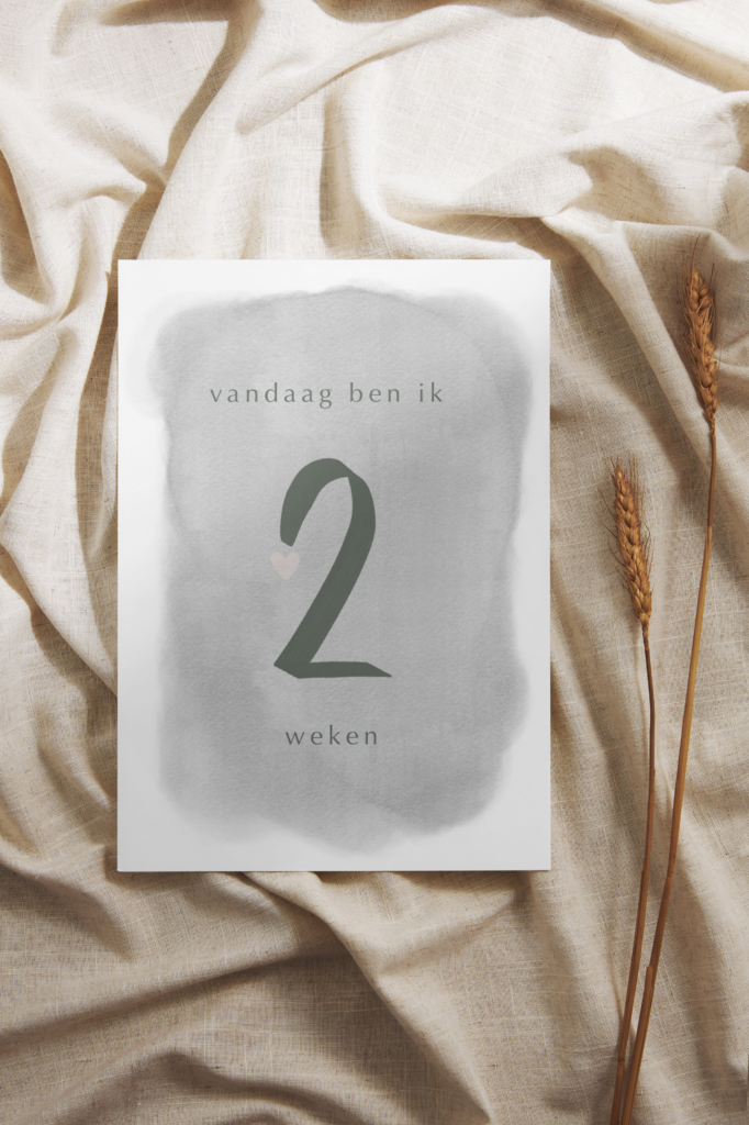 Milestone kaarten eerste jaar - Salie